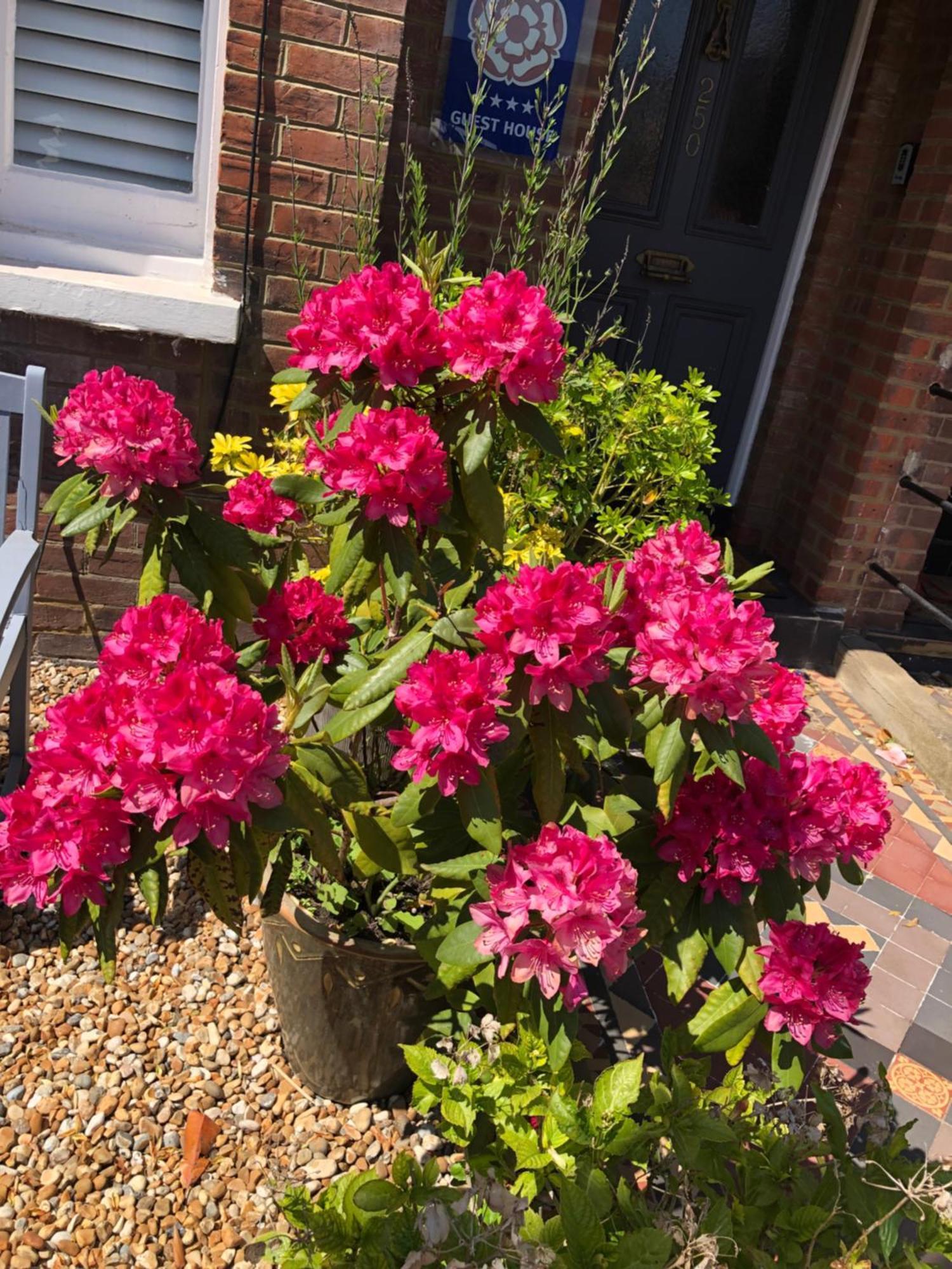 Carena House Bed & Breakfast Canterbury Dış mekan fotoğraf