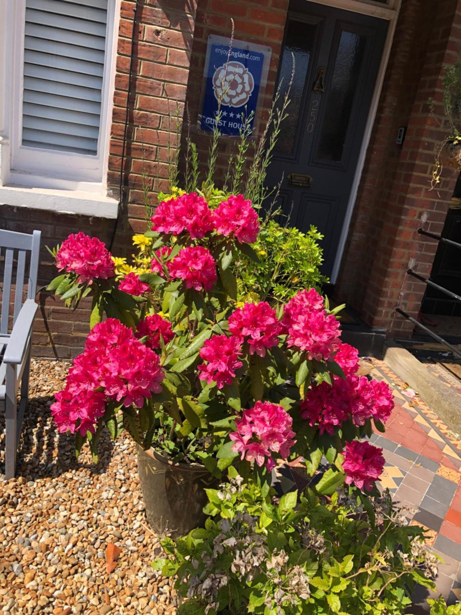 Carena House Bed & Breakfast Canterbury Dış mekan fotoğraf